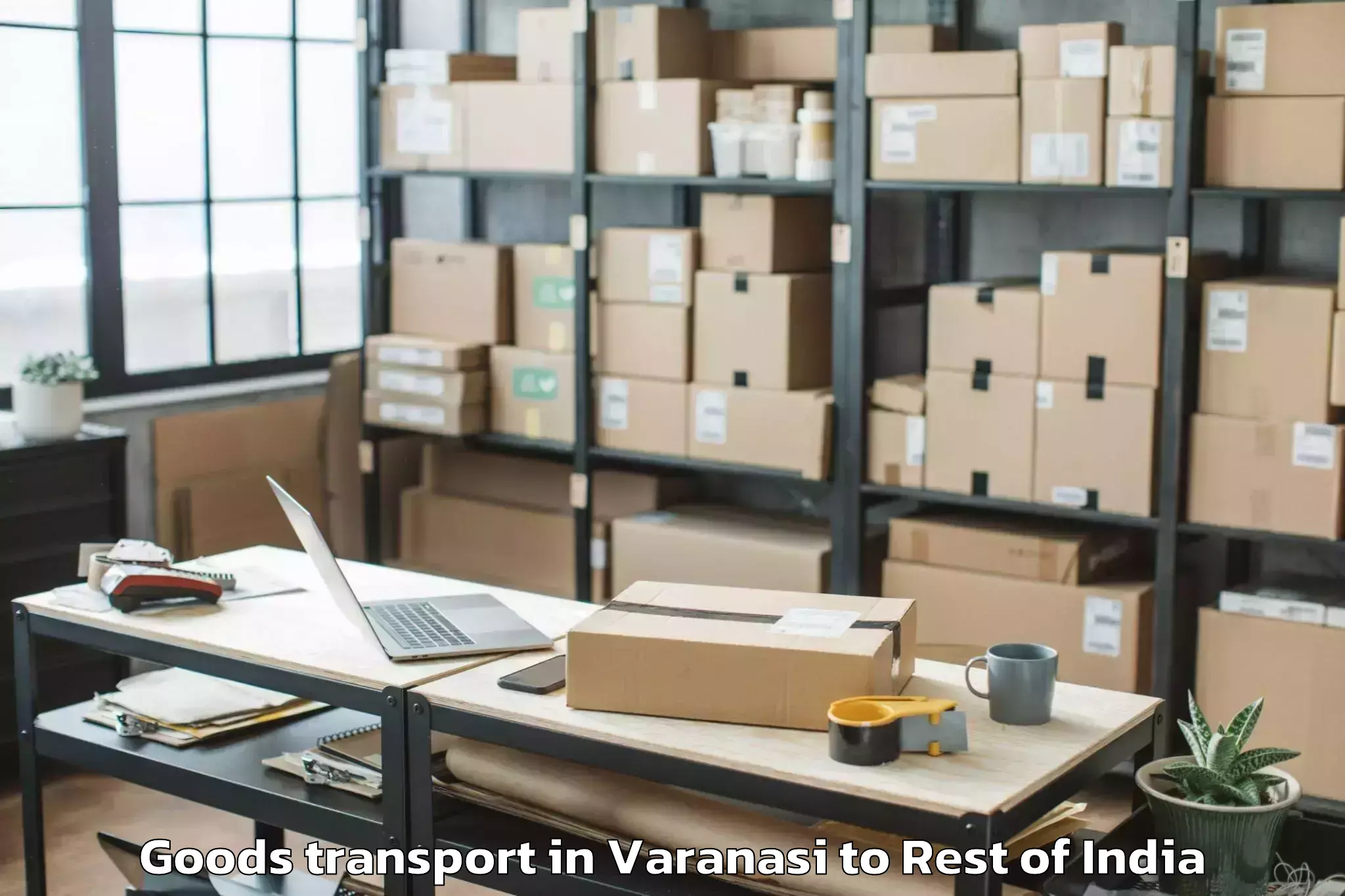 Trusted Varanasi to Peepal Khoont Goods Transport